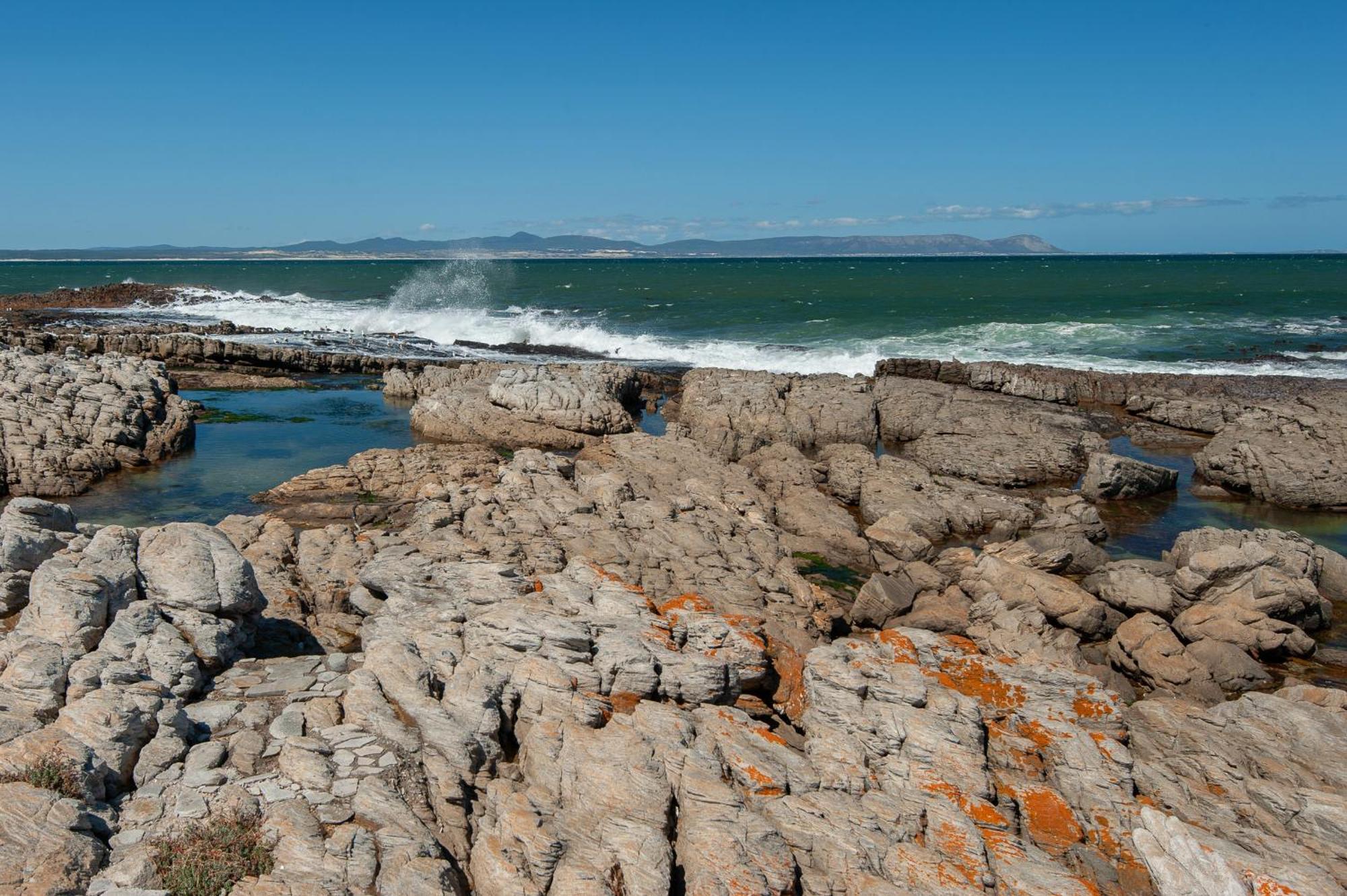 64 Whalerock Estate Διαμέρισμα Hermanus Εξωτερικό φωτογραφία